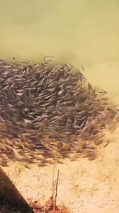 ������� ��������� � ����������� ����� � �����