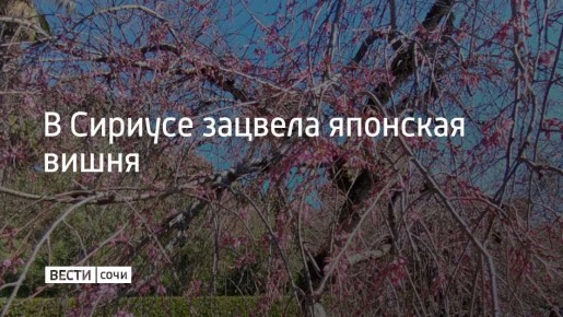 � ����������� "����� ��������" ������������ ������ ������ ������������ �������� ����� � �����������������