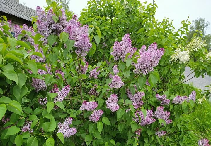 Солнечные праздничные выходные на Кубани завершились