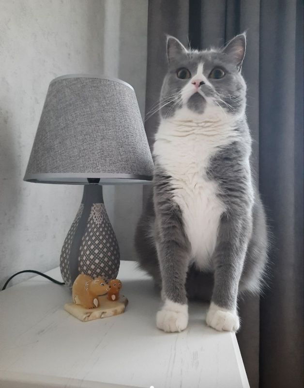 ������ ����, ������!. ��������� +1�+15 ��