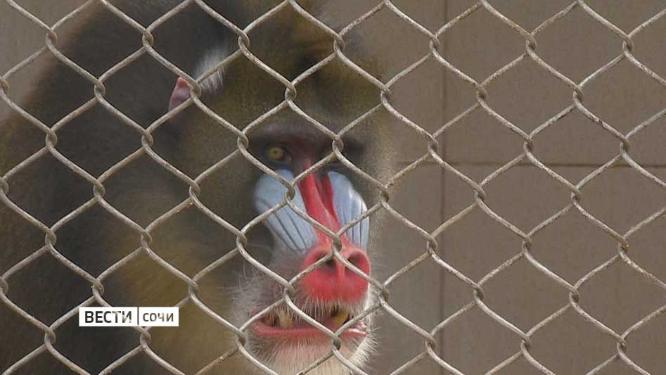 ����������� ������������ � ���� ��������� ����� ��������� ������������