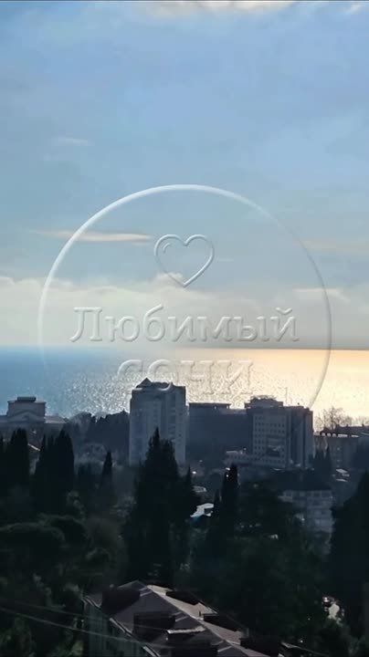 ��� ����� ����� ������� ����