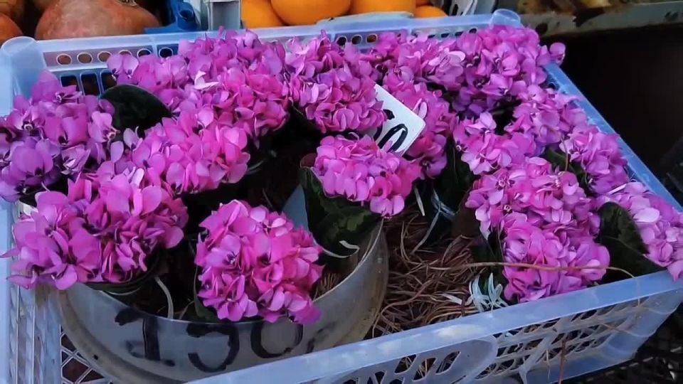 ������������� ����������� ��������� ����� 100 �������� ����� � ������� � ���������� ����������