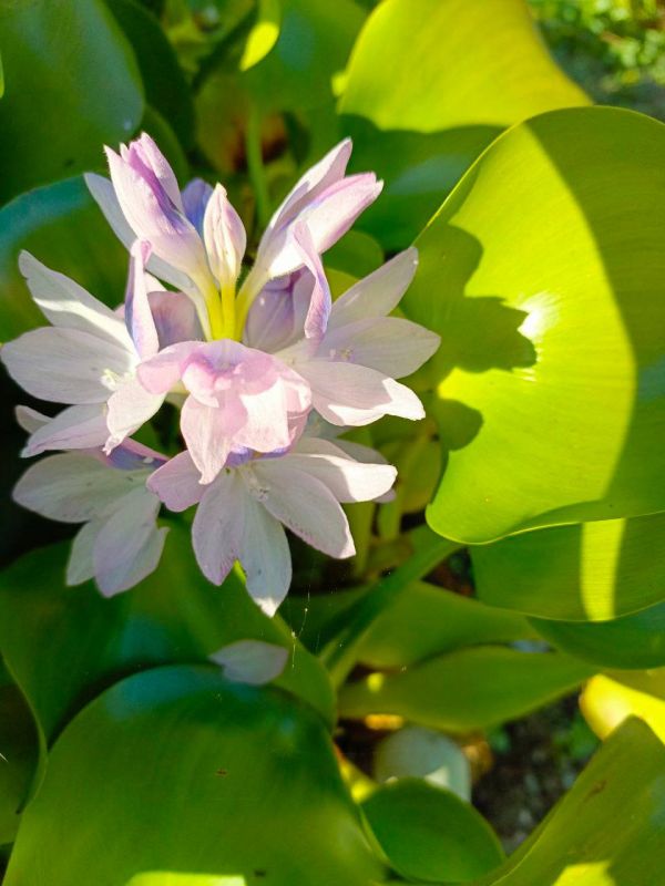 О погоде на 12 марта. В Краснодарском крае малооблачно