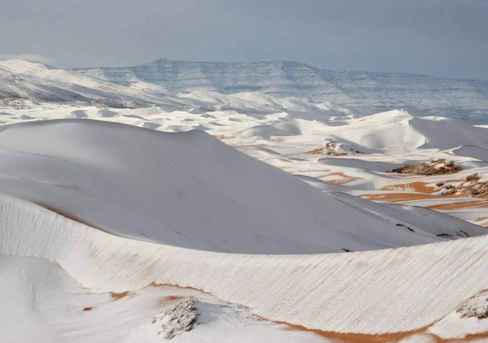 Пока на Кубани потепление, пески Сахары стали белыми