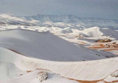 ���� �� ������ ����������, ����� ������ ����� ������