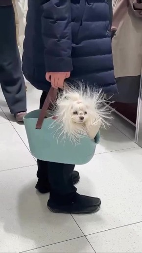 ����� �������� ������ � ������ �������