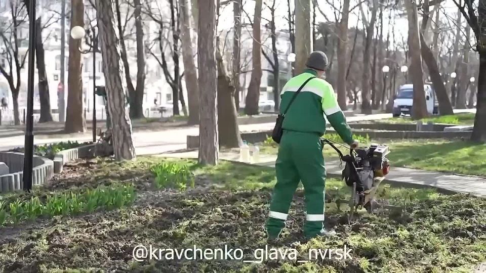 Клумбы и цветники Новороссийска преображаются с приходом весны