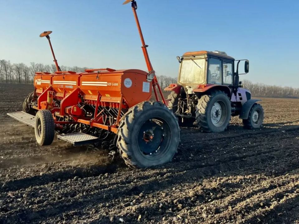 В полях и садах Краснодара кипит работа