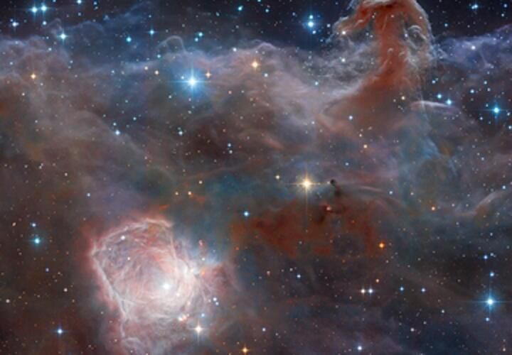 Овнам надо будет пересчитать деньги, а Тельцы не должны поддаваться чужой панике