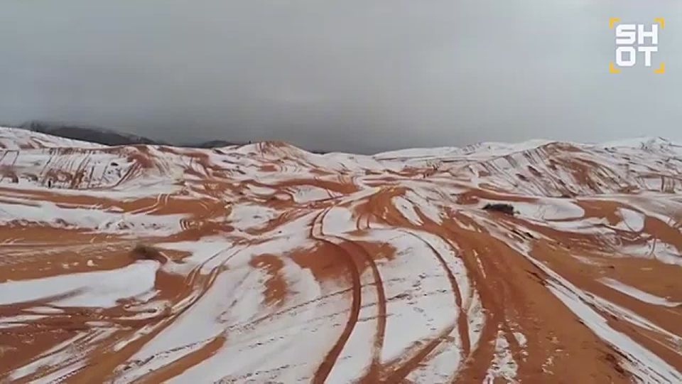 ���-�� ����� ���� �� ���. ������� ������� ���� ������ � �� ��������� �� ���� ��������� ����� ���������� �� ���������