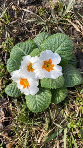 � ������ �� 13 ����� . � ������������� ���� ��������� ����������