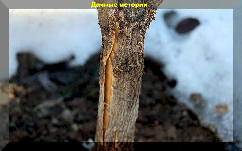 ��� ������ �������� ��� ������: ������ � �������� � �����������