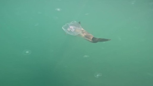 �������� �������� ��� ������ ����� ���������� � ������������� ���� � ������ ��������� ���� �� ����� ������ � ������ �����