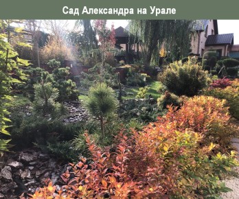 ��� ���������� ������ �� ������� �������, ������� ����� �������