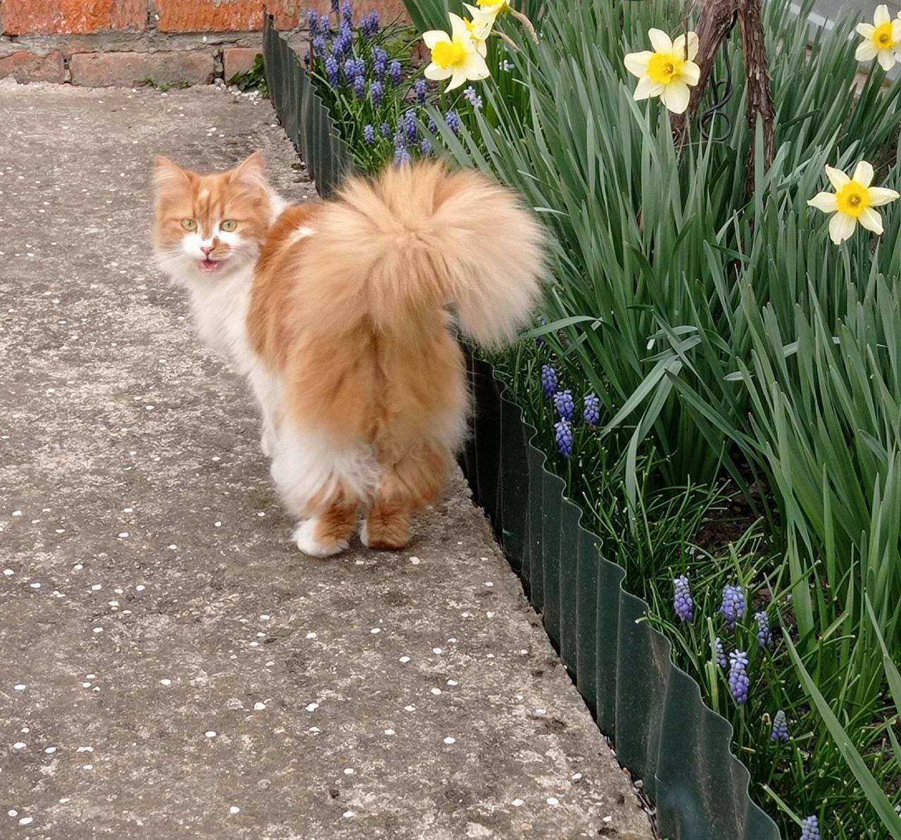 О погоде на 15 марта . В Краснодарском крае небольшая облачность О погоде на 15 марта . В Краснодарском крае небольшая облачность