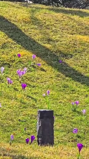 ������� ������. ���� ��� ���� ���� � ������� ����� �� ������, � ����� ��������� ��������� ��������� �������� �����