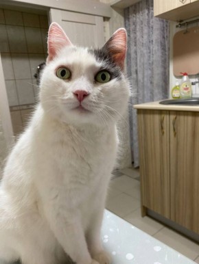 ������ ����, ������!. ��������� +14 ��