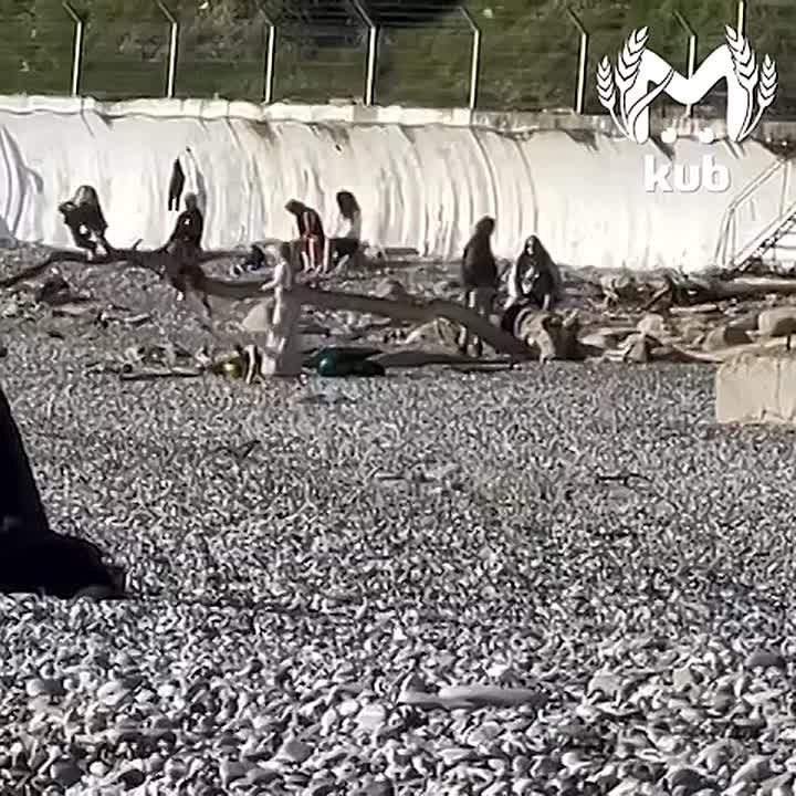 Сочинские дети доказали, что для счастья достаточно шума прибоя и огромной коряги