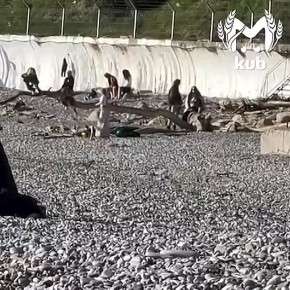 Сочинские дети доказали, что для счастья достаточно шума прибоя и огромной коряги