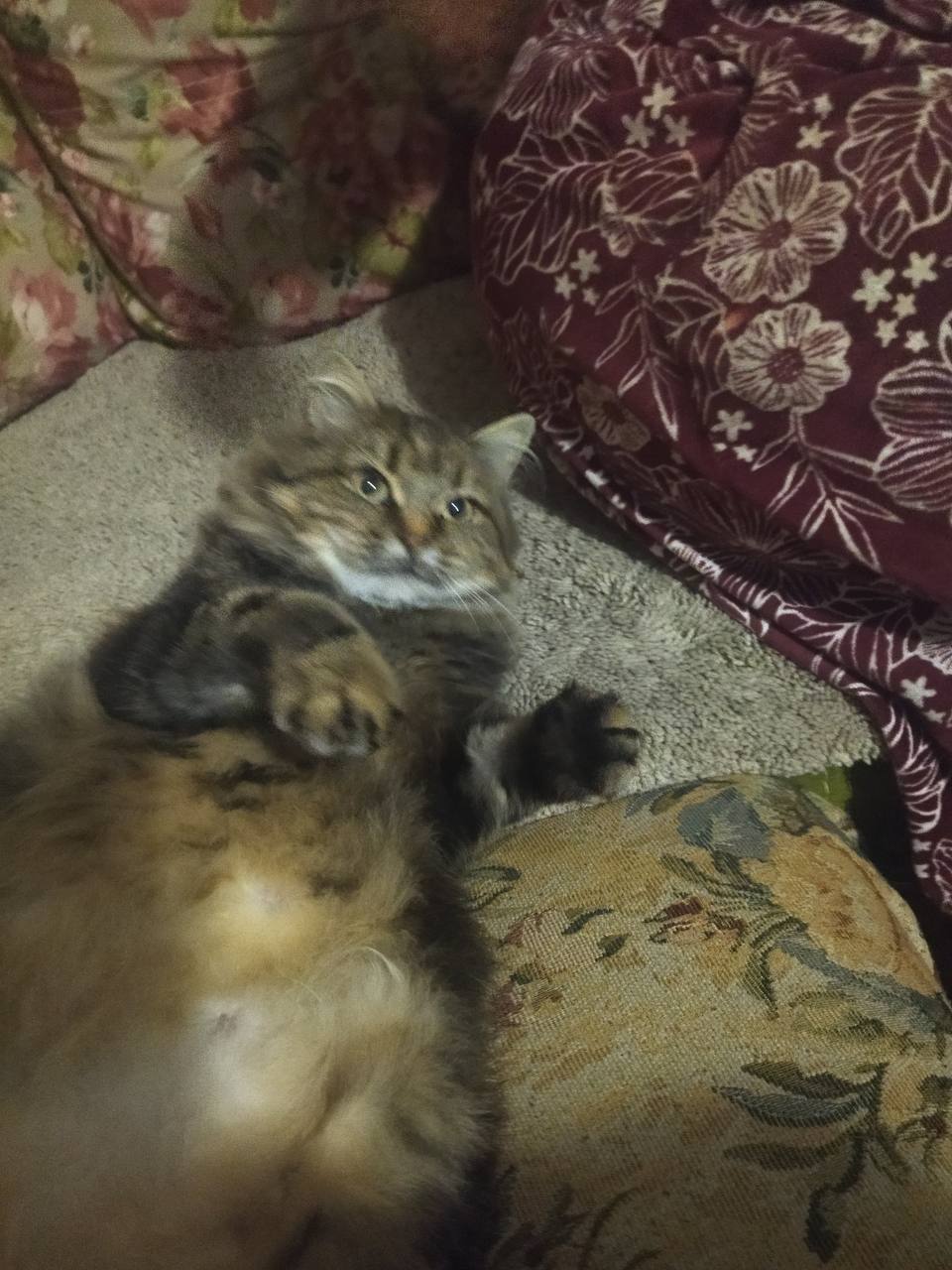 Доброе утро, Кубань!. Краснодар +14 °С Доброе утро, Кубань!. Краснодар +14 °С