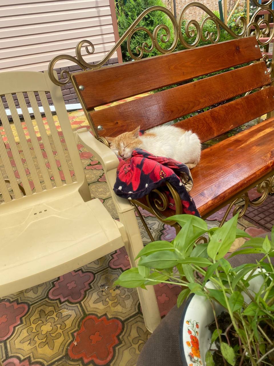 Доброе утро, Кубань!. Краснодар +14 °С Доброе утро, Кубань!. Краснодар +14 °С