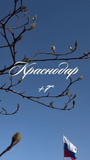 О погоде в Краснодаре 15 марта