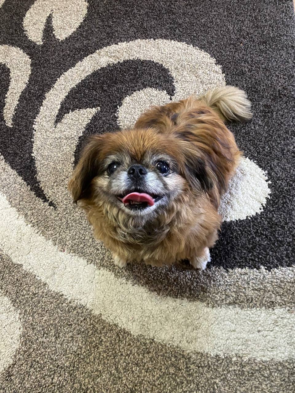 Доброе утро, Кубань!. Краснодар +14 °С Доброе утро, Кубань!. Краснодар +14 °С