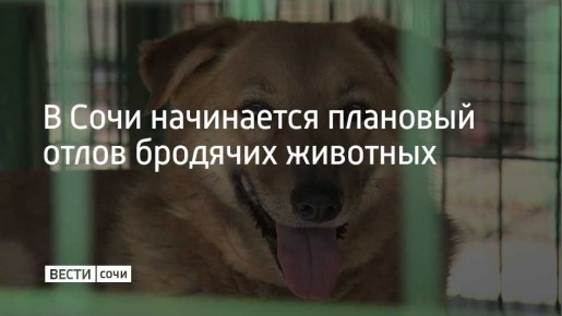 16 ����� "����� �� ��������� � ��������� ��� ����������" �������� �������� ����� ������������ �������� �� ���������� �������