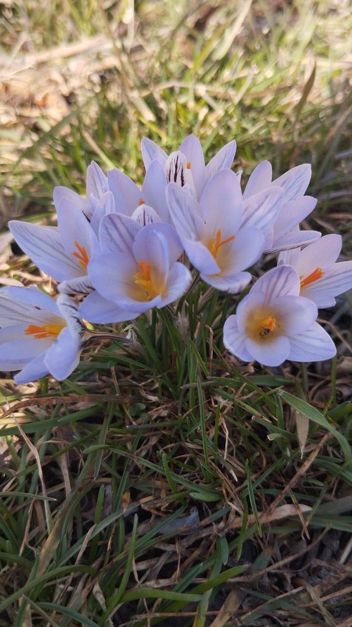 О погоде на 16 марта . В Краснодарском крае облачно с прояснениями О погоде на 16 марта . В Краснодарском крае облачно с прояснениями