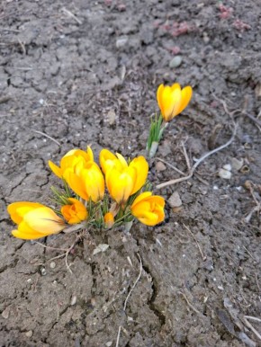 � ������ �� 16 ����� . � ������������� ���� ������� � ������������