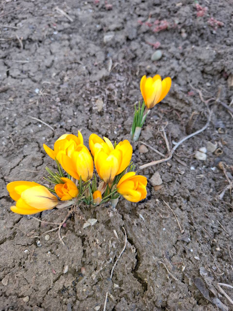 О погоде на 16 марта . В Краснодарском крае облачно с прояснениями