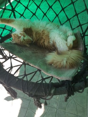 ������ ����, ������!. ��������� +4�+13 ��