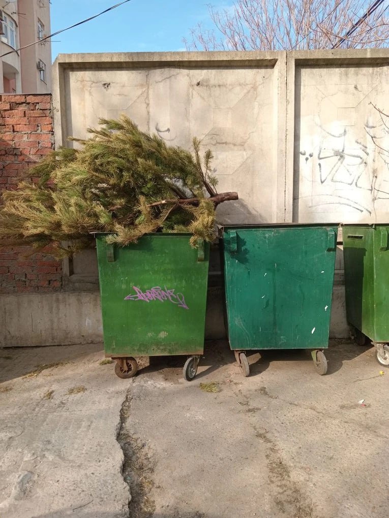 Вот елочка нарядная на баки к нам пришла