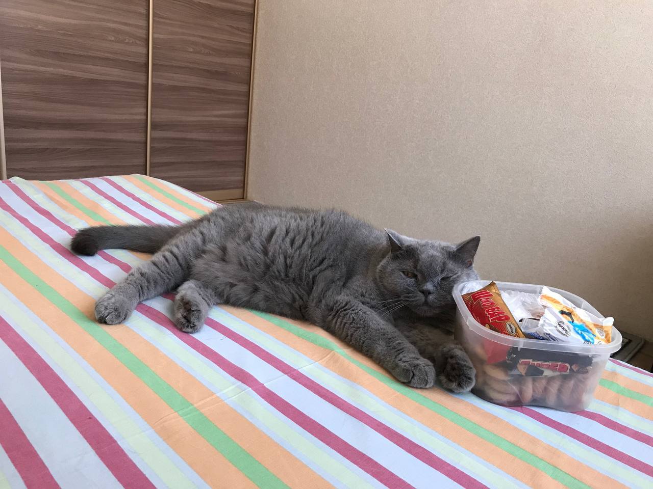 Доброе утро, Кубань!. Краснодар +13 °С Доброе утро, Кубань!. Краснодар +13 °С