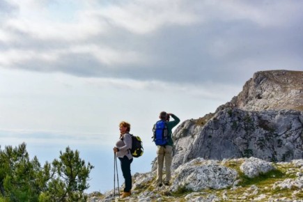 ���� ���� ������� ��������� ��� ���������� �� ���� ������