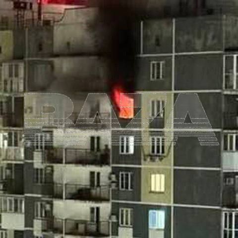 ������� � ����� ����:. ��������-������ ��������, ��� � ������ ����� �������� ����������� ���������� ���������, � �������� ����� ����������� � ������� ��������� ����� �����