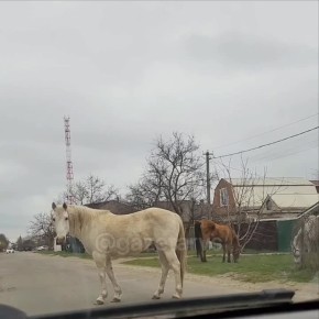 ������ ������� ������������ ������ � �������