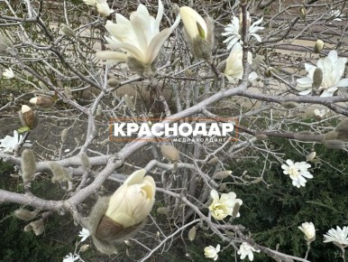 ������ ������� � ��������� ����������