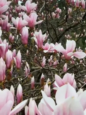 ������� ���������� ����. ��������� �����: krukovtravel