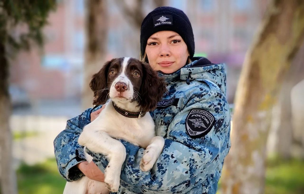 Безопасных и хороших выходных!