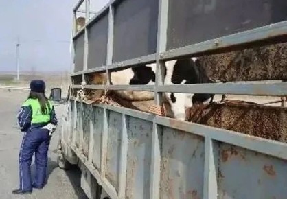 �� ���������� ����-���� �������� ���������� ��������� �����