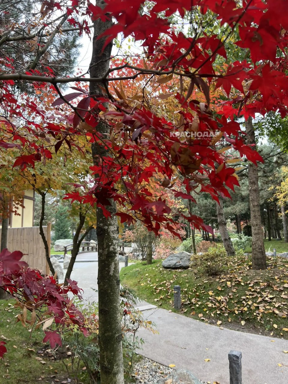 Продолжаем нашу ежедневную рубрику «Краснокадр»