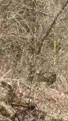 ������ ��������. � ��������� �������� ������� ���������� � ����� ������� ��� ���� ���������� ����� � ��������� � �������������� ����������, �������� � ������ ������� ������