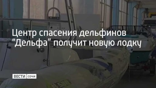 Центр спасения дельфинов “Дельфа” получит новую лодку