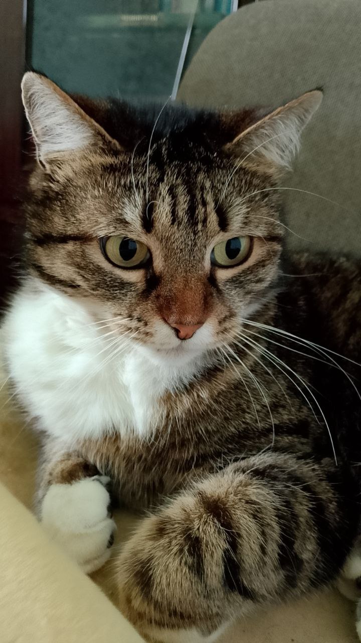 Доброе утро, Кубань!. Краснодар +12 °С Доброе утро, Кубань!. Краснодар +12 °С