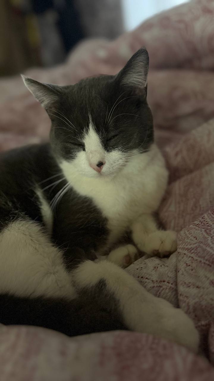 Доброе утро, Кубань!. Краснодар +12 °С Доброе утро, Кубань!. Краснодар +12 °С