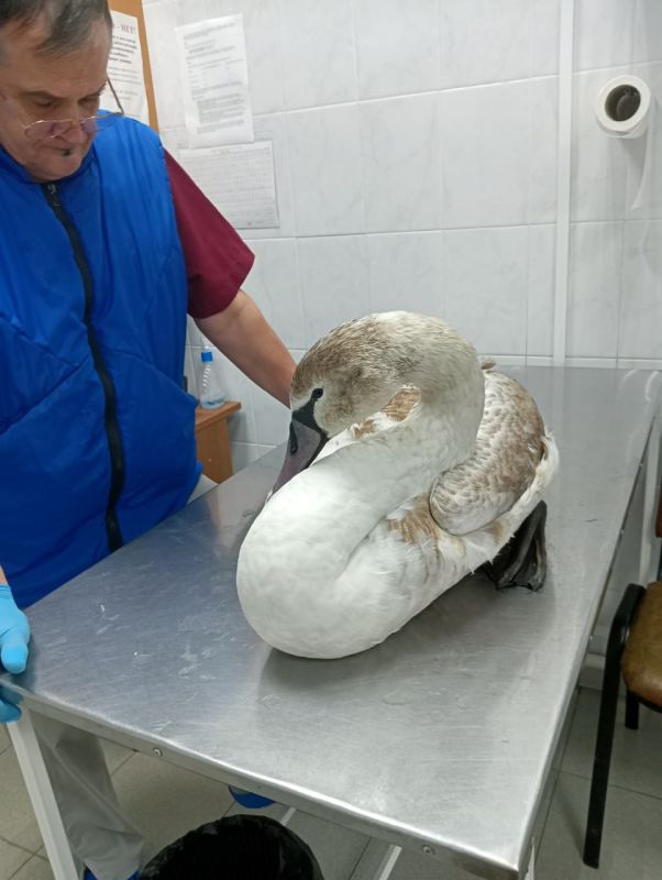 ������ � ������� � ���������� ������ � ����������