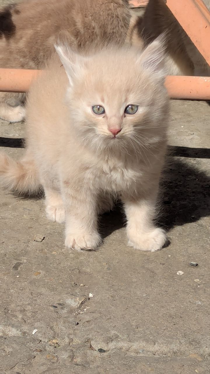 Доброе утро, Кубань!. Краснодар +12 °С Доброе утро, Кубань!. Краснодар +12 °С