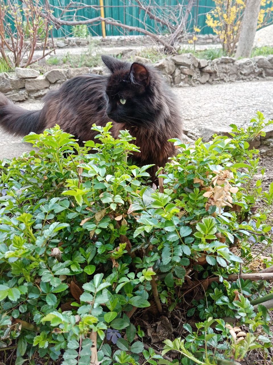 Доброе утро, Кубань!. Краснодар +12 °С Доброе утро, Кубань!. Краснодар +12 °С